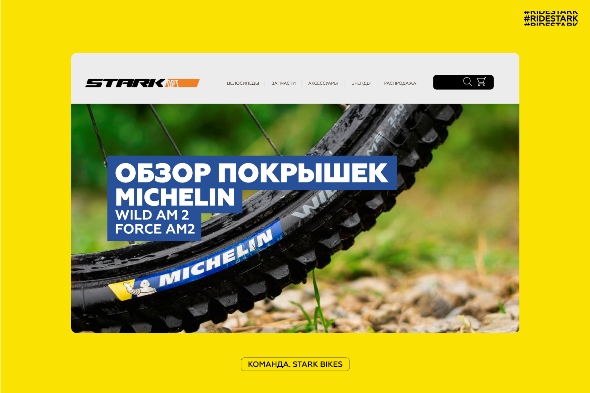 Обзор покрышек MICHELIN Wild AM2 и Force AM2